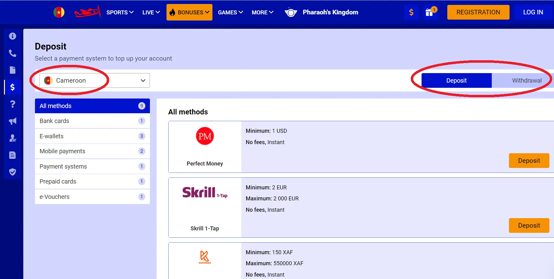 Carrying out transactions at PariPesa Carrying out transactions at PariPesa
